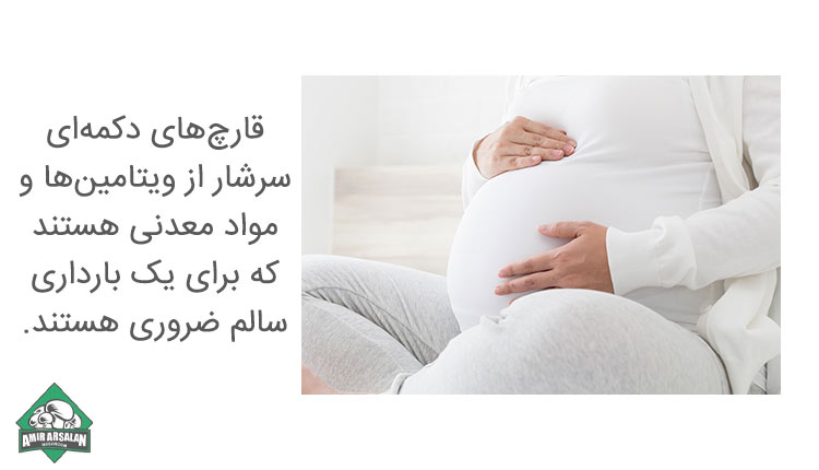 فواید مصرف قارچ در دوران بارداری 